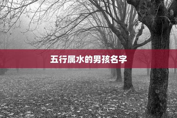 五行属水的男孩名字
