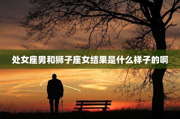 处女座男和狮子座女结果是什么样子的啊
