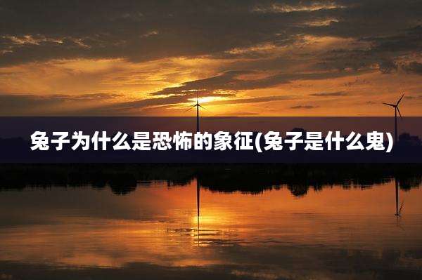 兔子为什么是恐怖的象征(兔子是什么鬼)