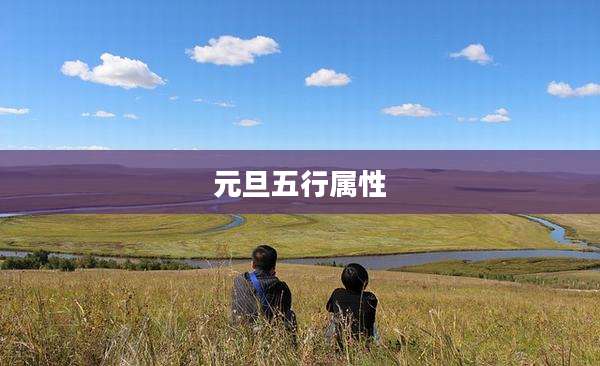 元旦五行属性