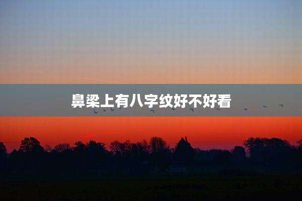 鼻梁上有八字纹好不好看
