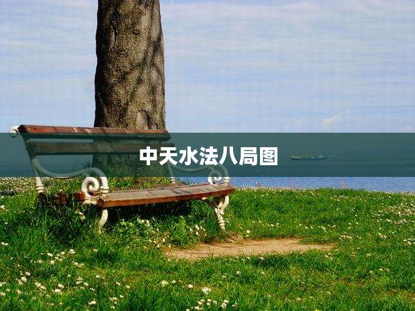 中天水法八局图