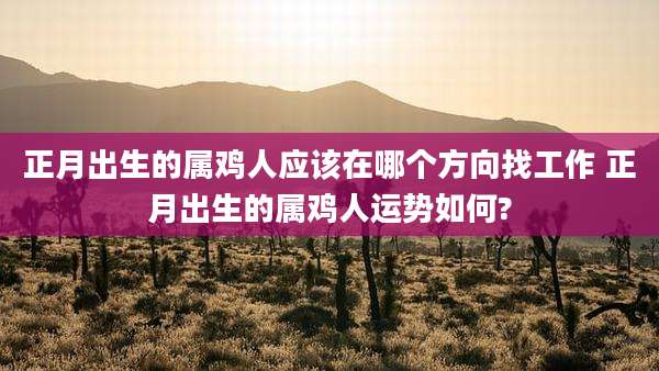 正月出生的属鸡人应该在哪个方向找工作 正月出生的属鸡人运势如何?