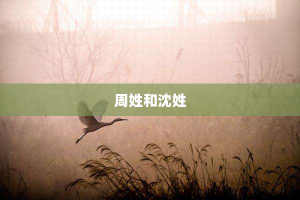 周姓和沈姓