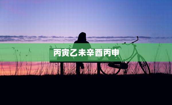 丙寅乙未辛酉丙申