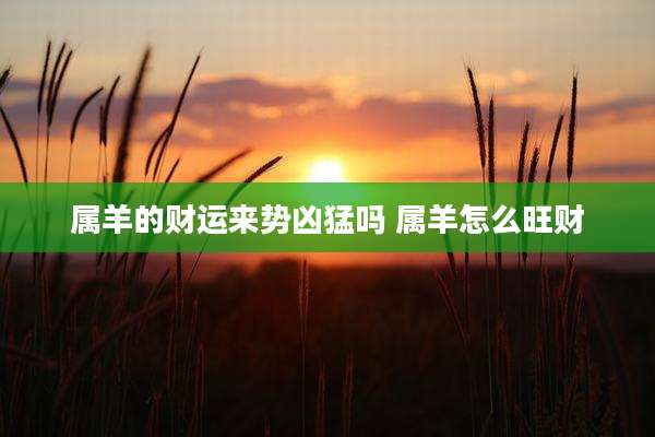 属羊的财运来势凶猛吗 属羊怎么旺财