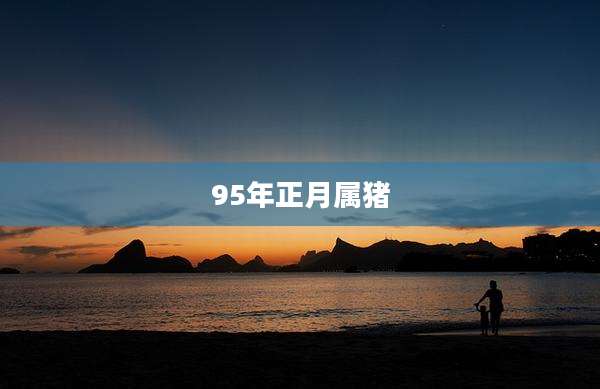 95年正月属猪