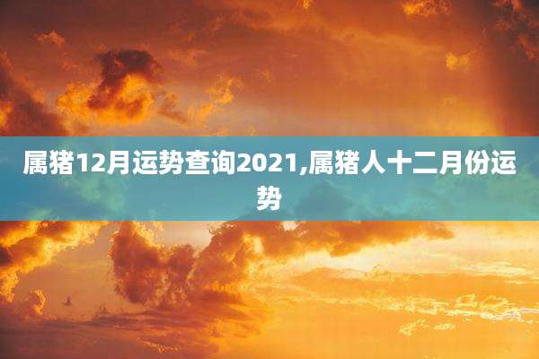 属猪12月运势查询2021,属猪人十二月份运势