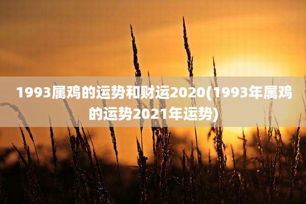 1993属鸡的运势和财运2020(1993年属鸡的运势2021年运势)
