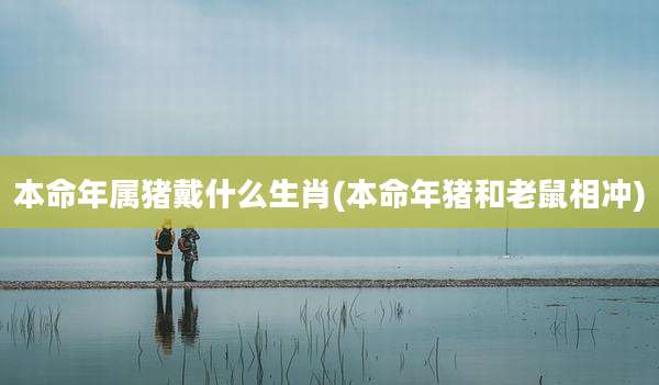 本命年属猪戴什么生肖(本命年猪和老鼠相冲)