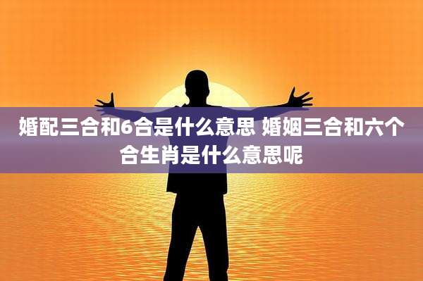 婚配三合和6合是什么意思 婚姻三合和六个合生肖是什么意思呢