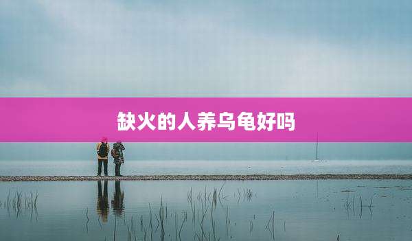 缺火的人养乌龟好吗