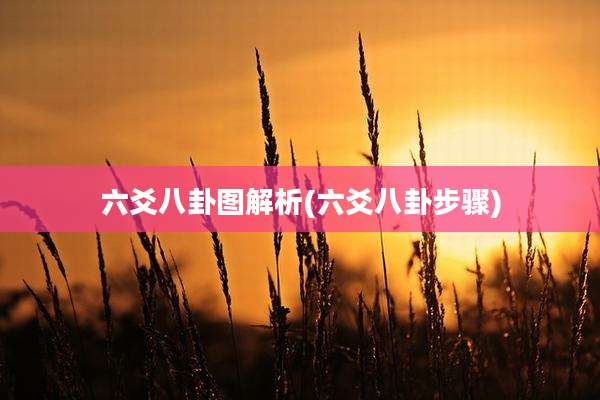 六爻八卦图解析(六爻八卦步骤)
