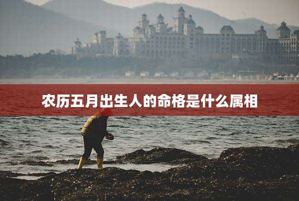 农历五月出生人的命格是什么属相