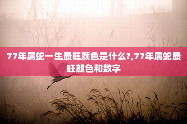 77年属蛇一生最旺颜色是什么?,77年属蛇最旺颜色和数字