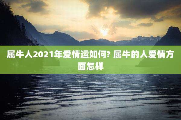 属牛人2021年爱情运如何? 属牛的人爱情方面怎样