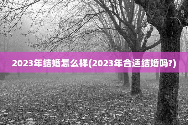 2023年结婚怎么样(2023年合适结婚吗?)