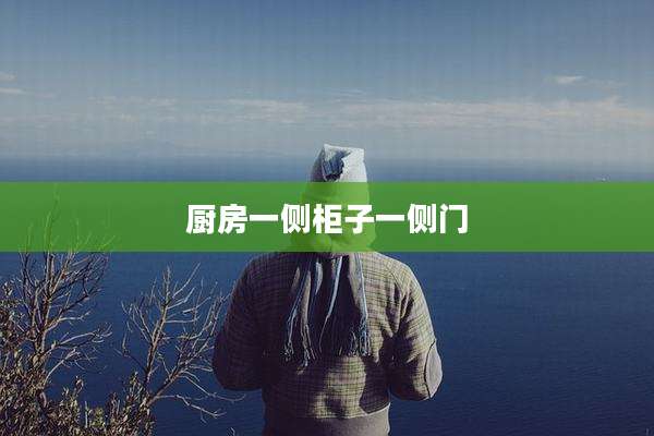 厨房一侧柜子一侧门