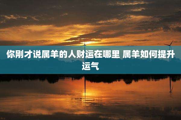 你刚才说属羊的人财运在哪里 属羊如何提升运气