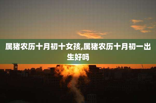 属猪农历十月初十女孩,属猪农历十月初一出生好吗