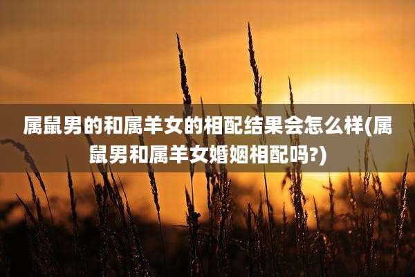 属鼠男的和属羊女的相配结果会怎么样(属鼠男和属羊女婚姻相配吗?)