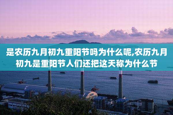 是农历九月初九重阳节吗为什么呢,农历九月初九是重阳节人们还把这天称为什么节