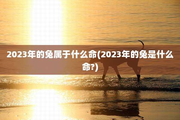 2023年的兔属于什么命(2023年的兔是什么命?)
