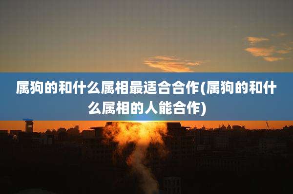 属狗的和什么属相最适合合作(属狗的和什么属相的人能合作)