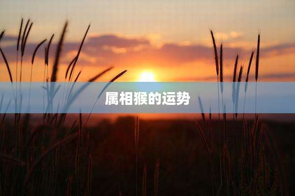 属相猴的运势