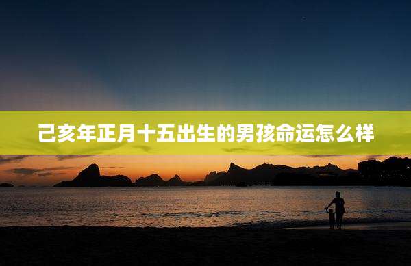 己亥年正月十五出生的男孩命运怎么样