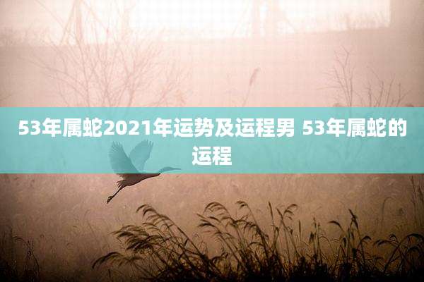 53年属蛇2021年运势及运程男 53年属蛇的运程