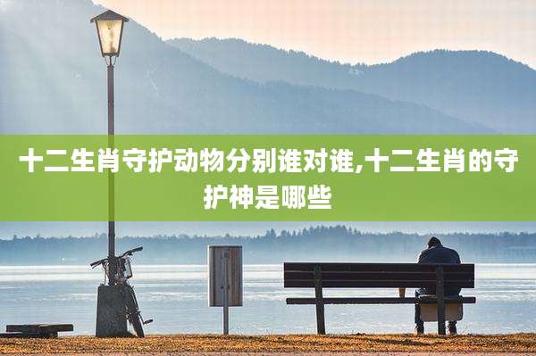 十二生肖守护动物分别谁对谁,十二生肖的守护神是哪些
