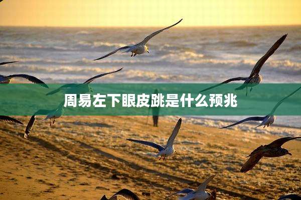 周易左下眼皮跳是什么预兆