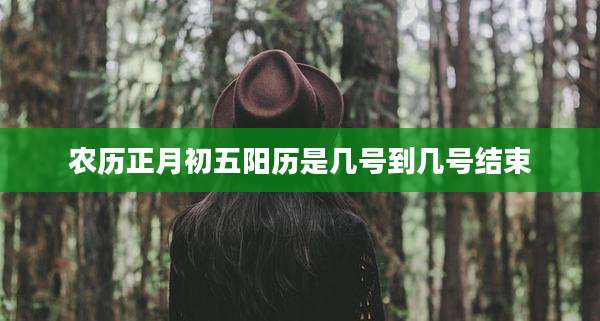 农历正月初五阳历是几号到几号结束
