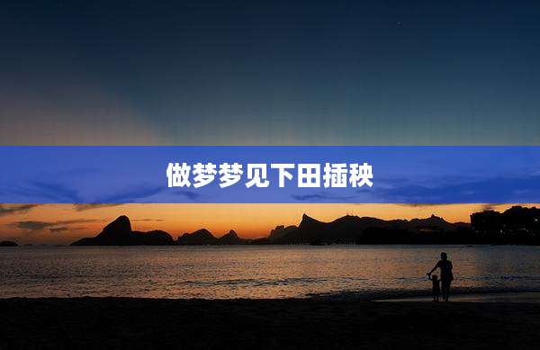 做梦梦见下田插秧