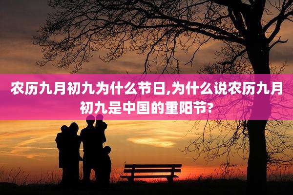 农历九月初九为什么节日,为什么说农历九月初九是中国的重阳节?