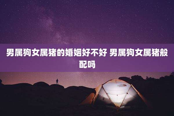 男属狗女属猪的婚姻好不好 男属狗女属猪般配吗