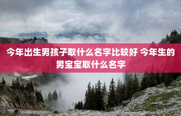 今年出生男孩子取什么名字比较好 今年生的男宝宝取什么名字