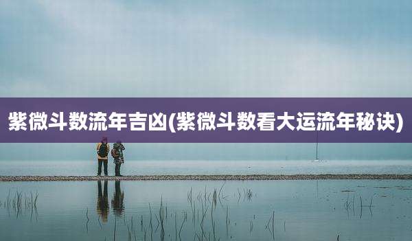 紫微斗数流年吉凶(紫微斗数看大运流年秘诀)