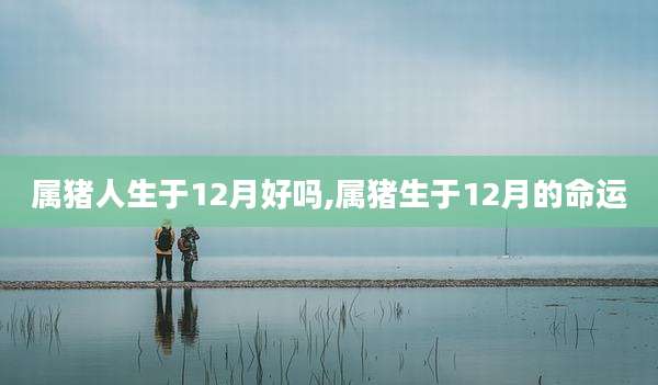 属猪人生于12月好吗,属猪生于12月的命运