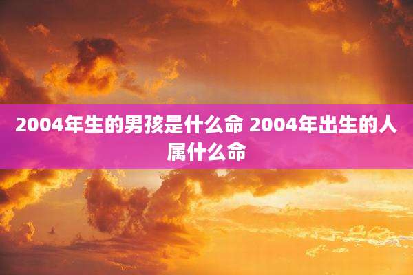 2004年生的男孩是什么命 2004年出生的人属什么命