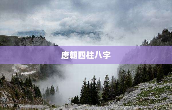 唐朝四柱八字