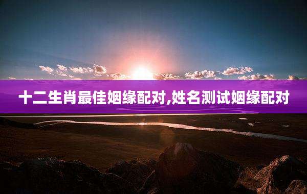 十二生肖最佳姻缘配对,姓名测试姻缘配对