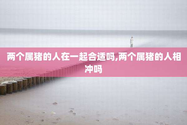 两个属猪的人在一起合适吗,两个属猪的人相冲吗
