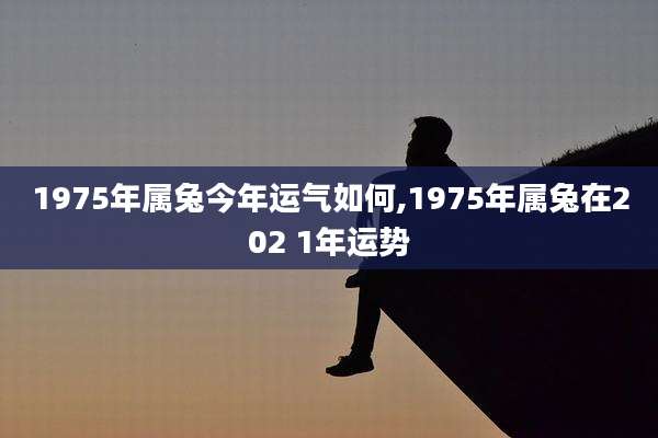 1975年属兔今年运气如何,1975年属兔在202 1年运势