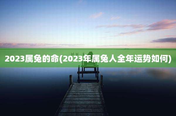 2023属兔的命(2023年属兔人全年运势如何)