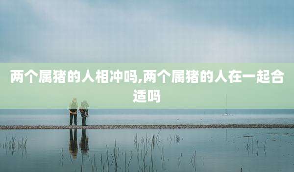 两个属猪的人相冲吗,两个属猪的人在一起合适吗
