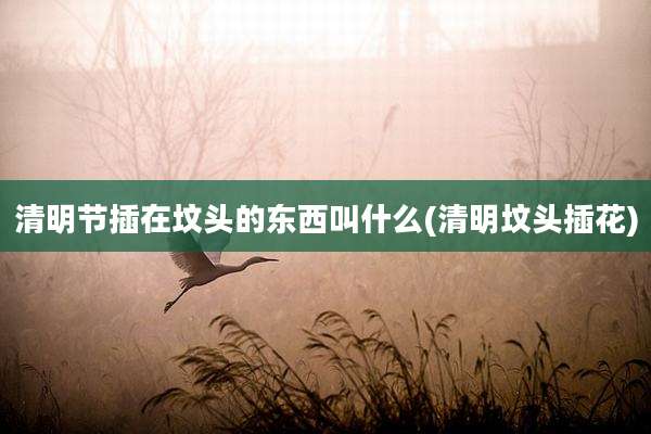 清明节插在坟头的东西叫什么(清明坟头插花)