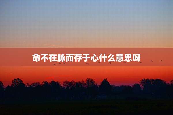 命不在脉而存于心什么意思呀