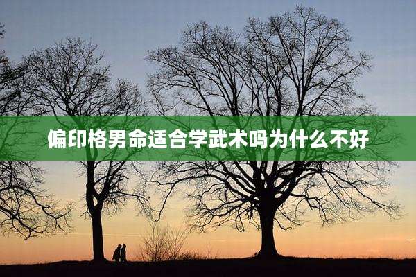 偏印格男命适合学武术吗为什么不好